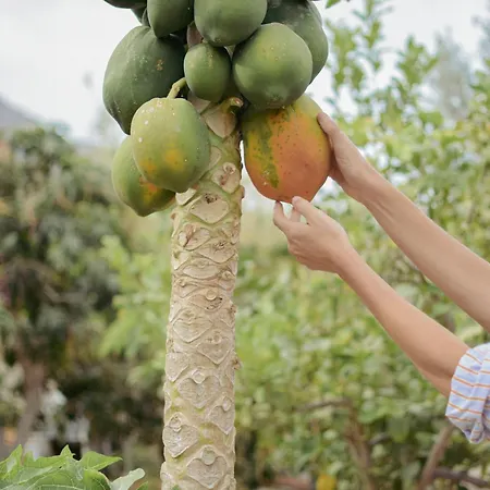 Willa Rural Tanquillos